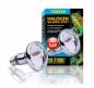 Preview: Exo Terra Halogen Basking Spot